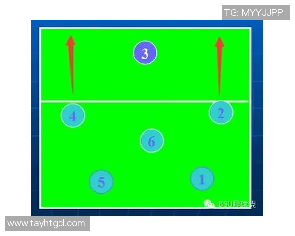 北京排球队灵活性对比分析揭示战术优势与发展潜力